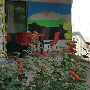 La Cantina Sull'etna Appartamento